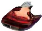 Tail lamp Lens / Gover / Glass NS0142391 for 日产 Nissan