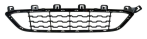 Grille BM1170070L6M2 for 宝马 BMW
