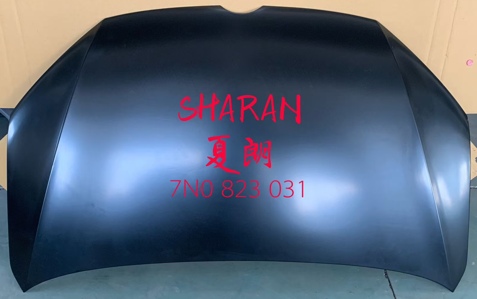 Hood/Bonnet VG1010010 for 大众 Volkswagen