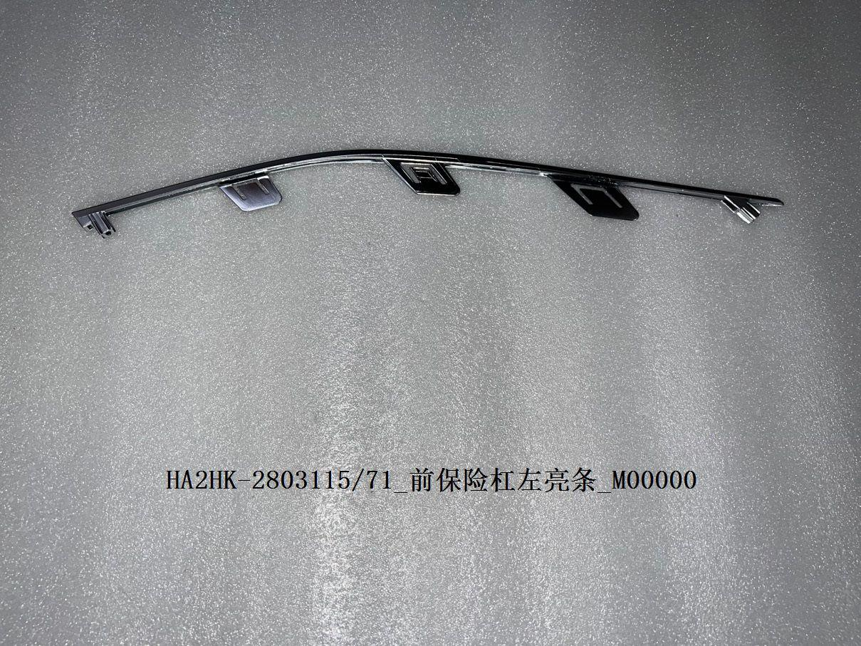 Moulding,Front bumper BYD0060401 for 比亚迪 BYD