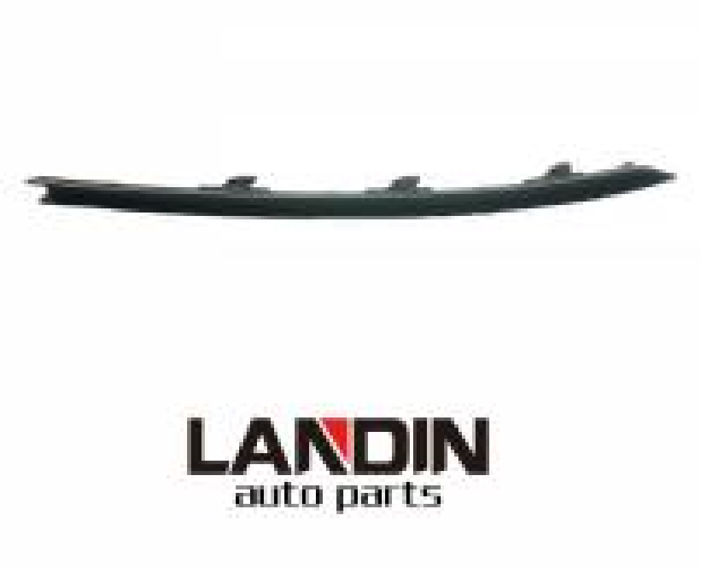 Moulding,Front bumper VG0690400F1 for 大众 Volkswagen