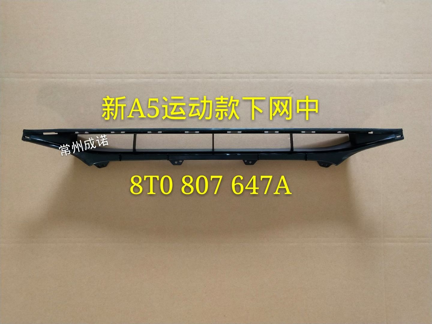 Bumper Grille AU1250080M2 for 奥迪 Audi