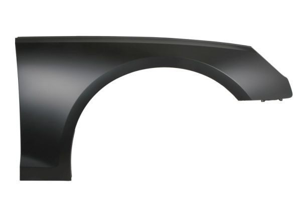 Fender，Front AU0660022 for 奥迪 Audi
