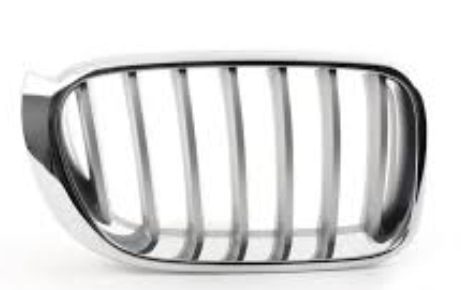 Grille BM0970072 for 宝马 BMW