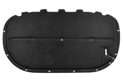 Hood Insulation Cotton VG0620520 for 大众 Volkswagen