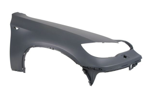 Fender,Front BM1150022PP for 宝马 BMW