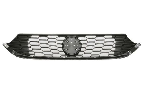 Grille FT0210070P for 菲亚特 Fiat