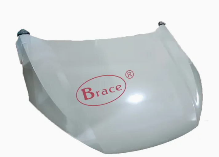 Hood/Bonnet CA0030010 for 长安