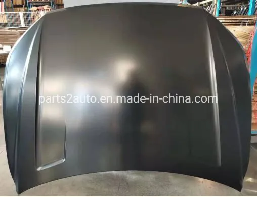 Hood/Bonnet VG1490010X for 大众 Volkswagen
