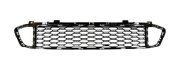 Grille BM0660070 for 宝马 BMW