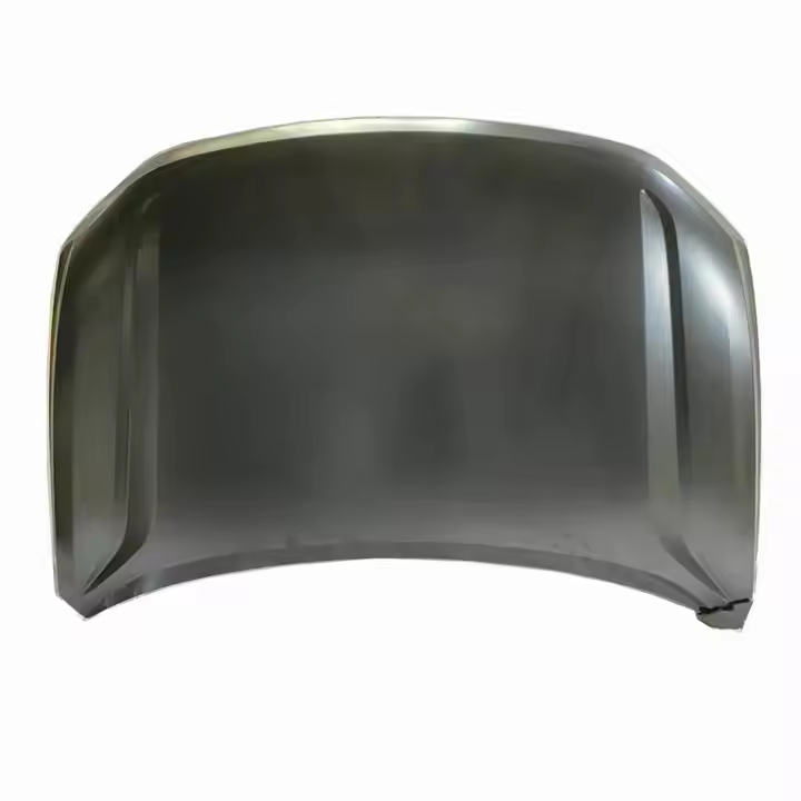 Hood/Bonnet VG1040010 for 大众 Volkswagen