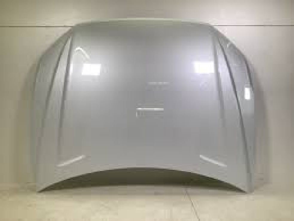 Hood/Bonnet VG1270010Z for 大众 Volkswagen