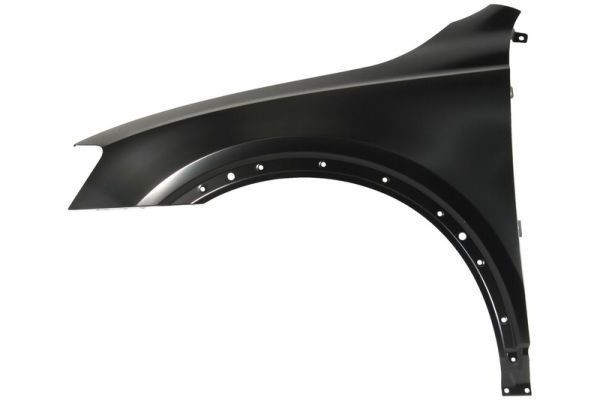 Fender，Front AU0260021 for 奥迪 Audi