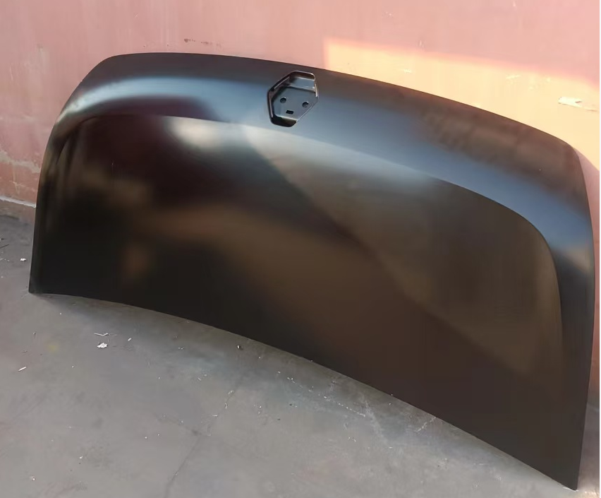 Hood/Bonnet RE0290010 for 雷诺 Renault