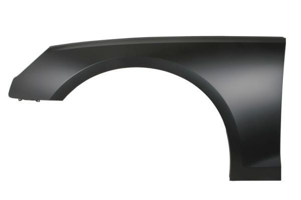 Fender，Front AU0660021 for 奥迪 Audi