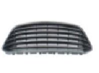 Grille FD0660070 for 福特 Ford
