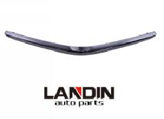 Moulding,Front bumper TY1170401 for 丰田 Toyota