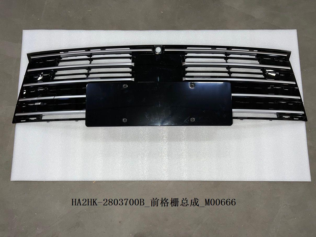 Grille BYD0060070 for 比亚迪 BYD