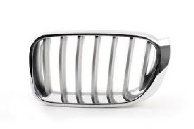 Grille BM0970071 for 宝马 BMW