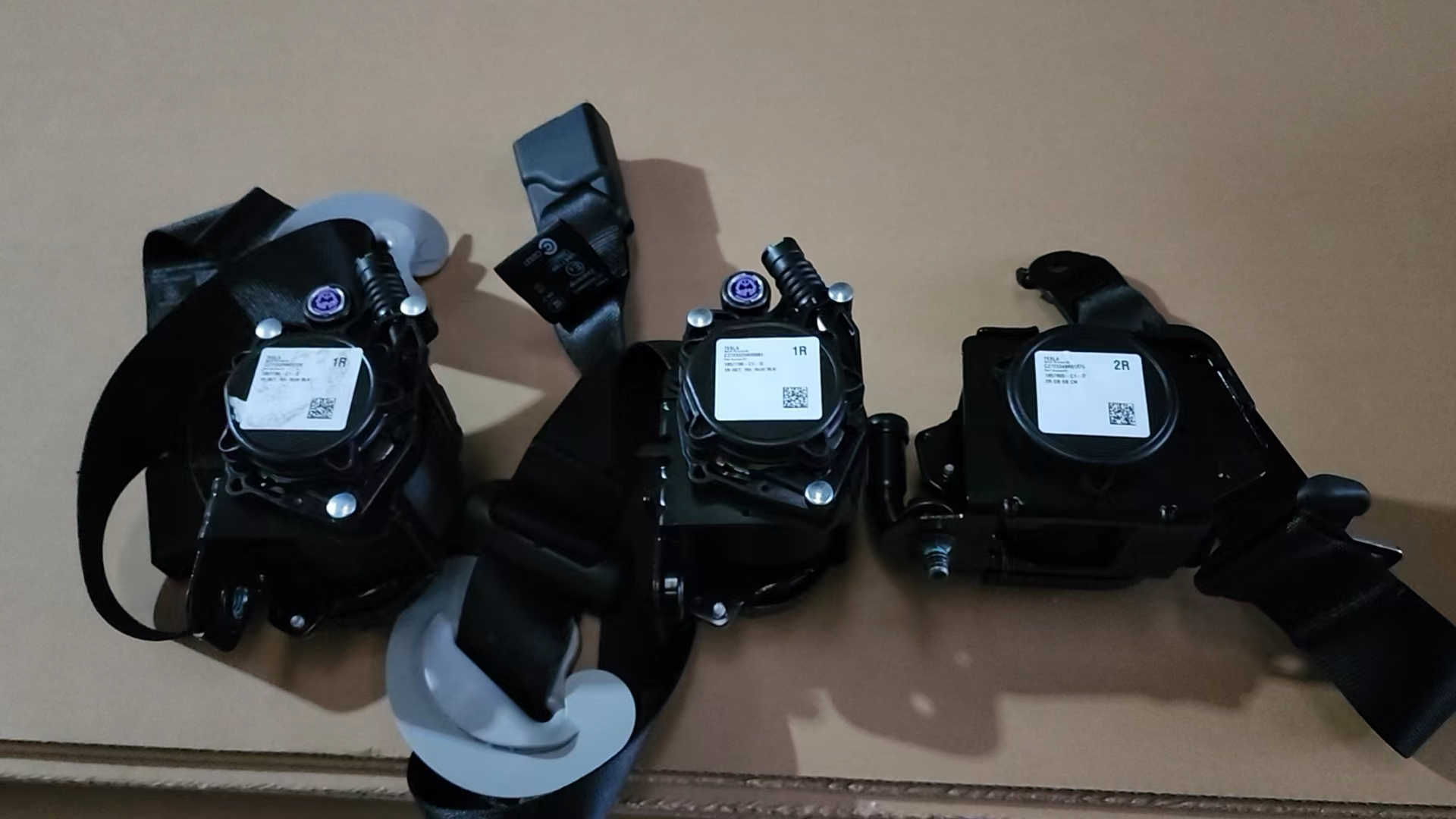Seat Belt TS0020790 for 特斯拉 Tesla