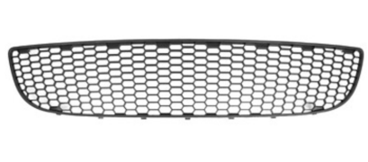 Bumper Grille