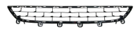 Grille BM1170070P for 宝马 BMW