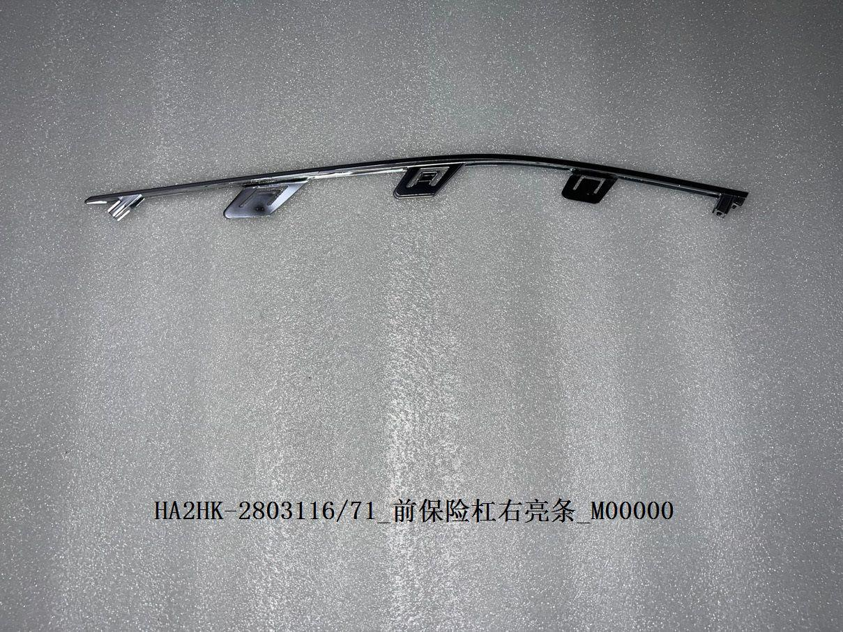 Moulding,Front bumper BYD0060402R2 for 比亚迪 BYD