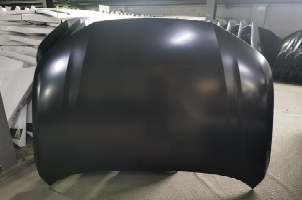 Hood/Bonnet HD2640010 for 本田 Honda