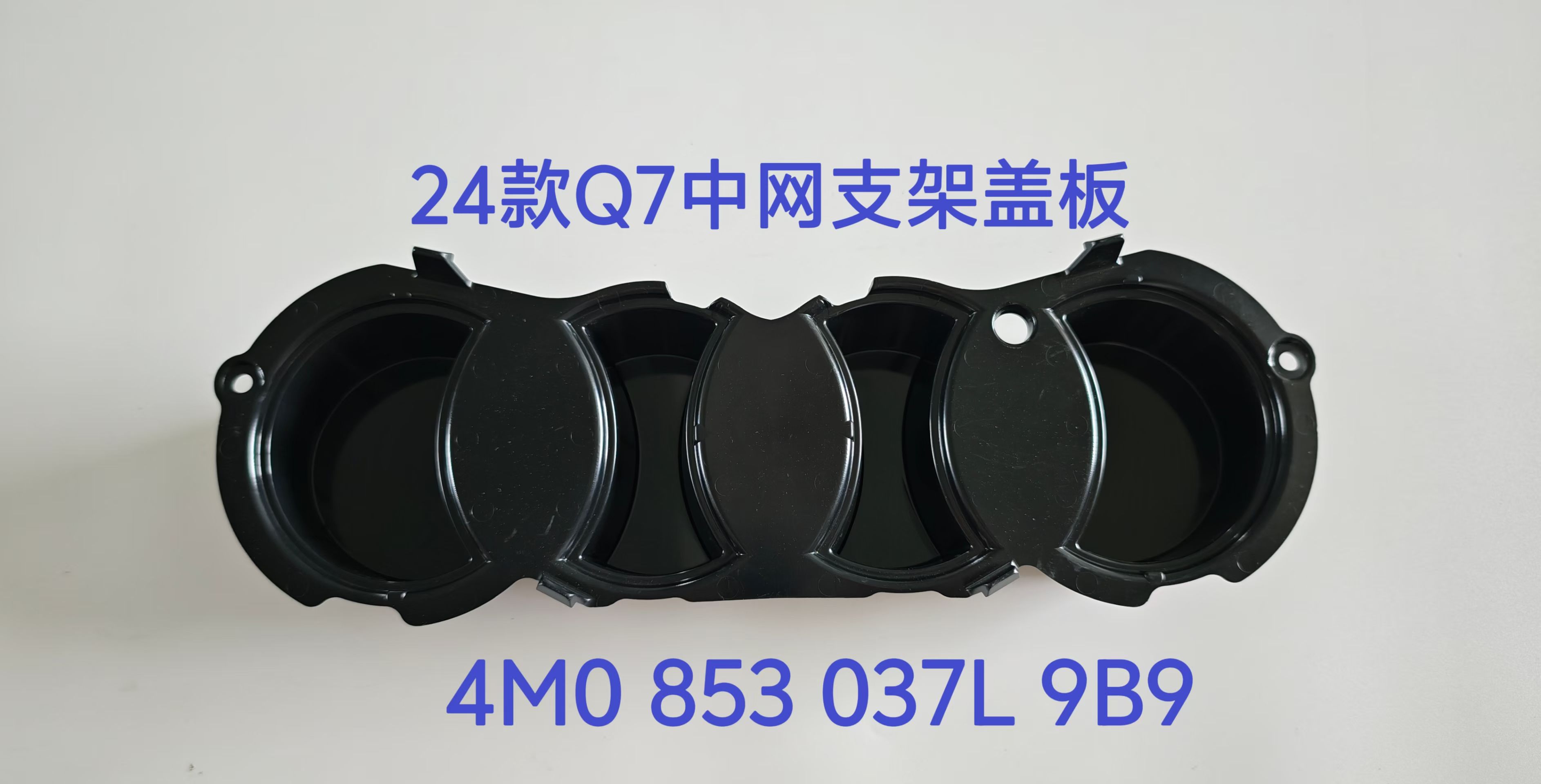 Grille Bracket Cover AU0981410 for 奥迪 Audi