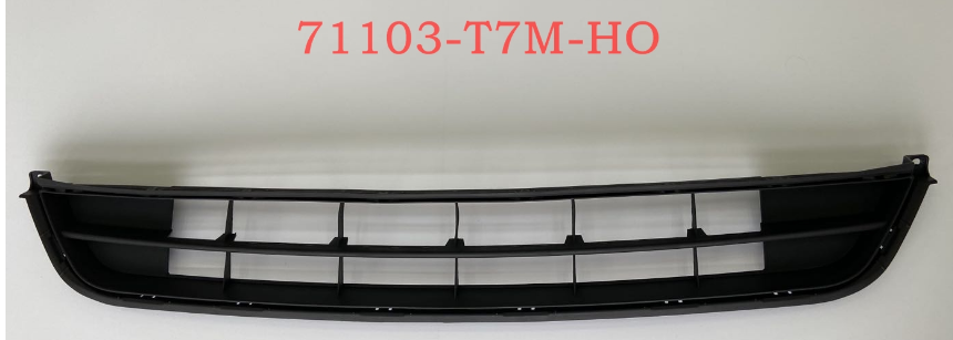 Grille HD4200070 for 本田 Honda