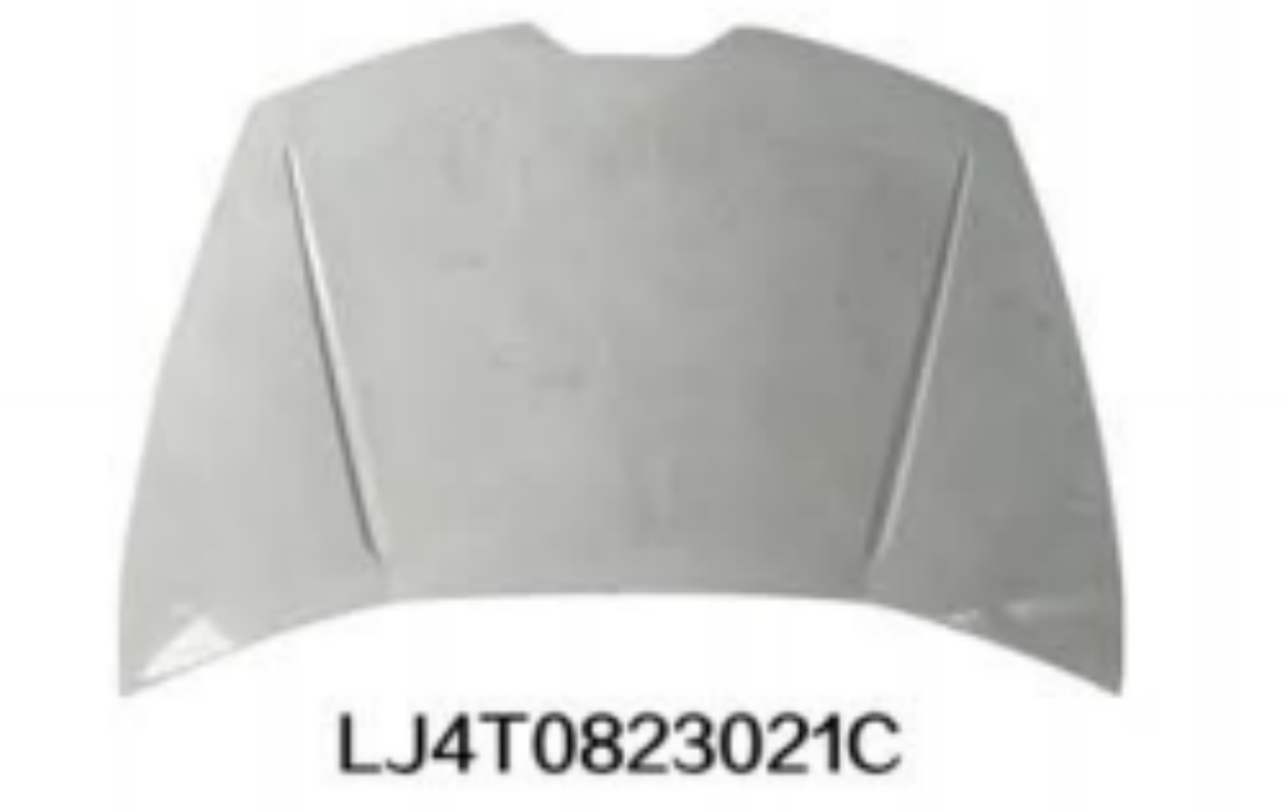 Hood/Bonnet LB2560010 for 兰博基尼Lamborghini